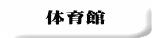 体育館 