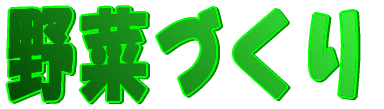 񂯂I 