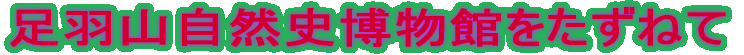 HRRjق˂