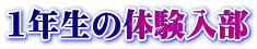 1N̑̌