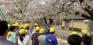 福井市春山小学校