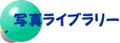 ʐ^Cu[