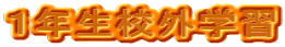 PNZOwK