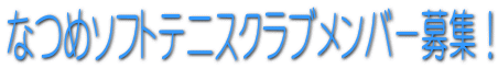 Ȃ߃\tgejXNuo[WI
