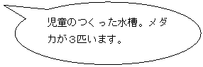 ~`o: ̂B_JRC܂B