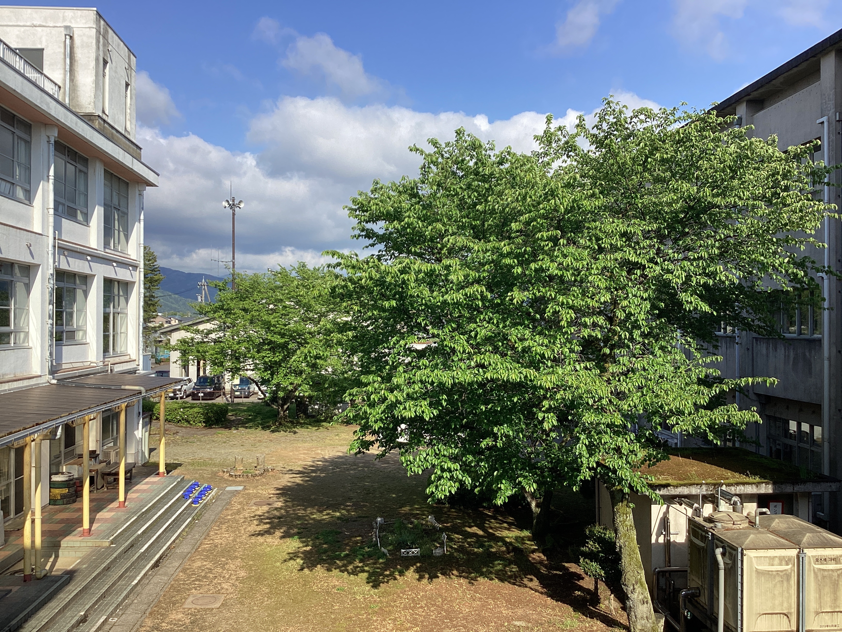 IMG_3566-1