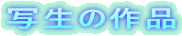 ʐ̍i