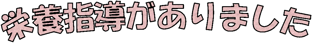 h{w܂