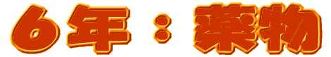 PPXFRN h{w܂ 