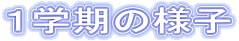 Pw̗lq