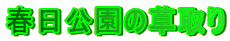 t̑