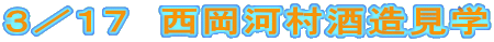 R^PV@͑𑢌w