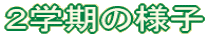 Qw̗lq