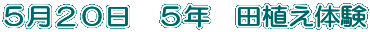 TQO@TN@cǍ 