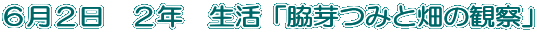 UQ@QN@ue݂Ɣ̊ώ@v 