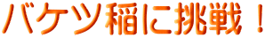 oPcɒI
